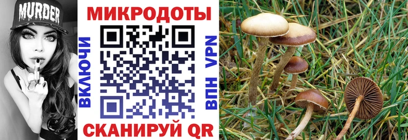 Псилоцибиновые грибы GOLDEN TEACHER Можга