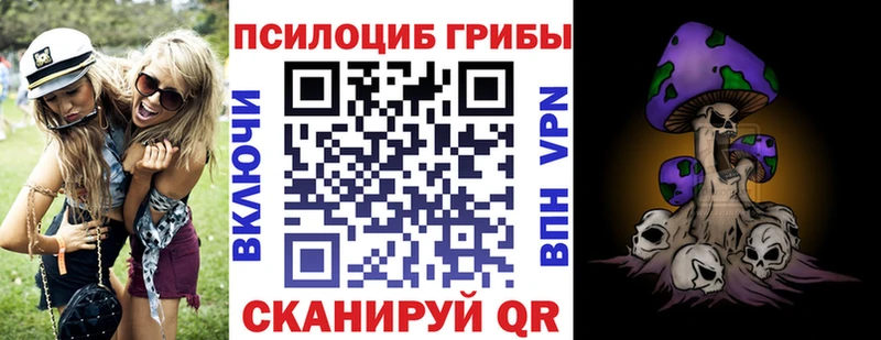 kraken ссылки  Можга  сайты даркнета наркотические препараты  Псилоцибиновые грибы Magic Shrooms 